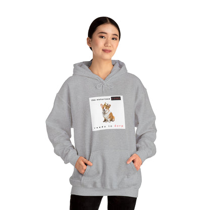 Corgi Hoodie Notorious Derp