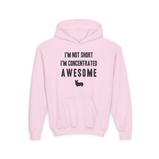 Corgi Hoodie Concentrated Awesome KIDS