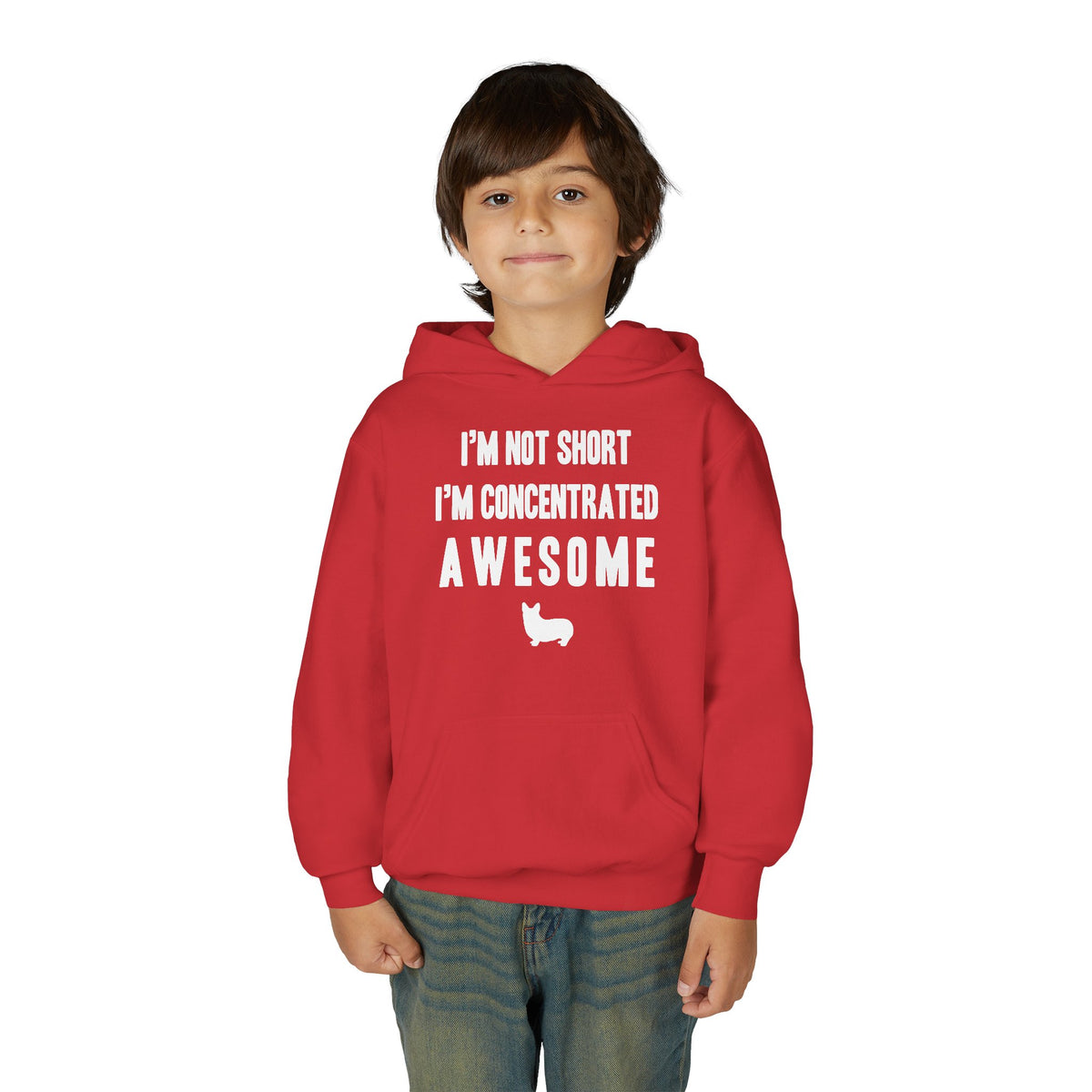 Corgi Hoodie Concentrated Awesome KIDS