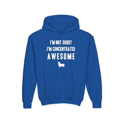 Corgi Hoodie Concentrated Awesome KIDS